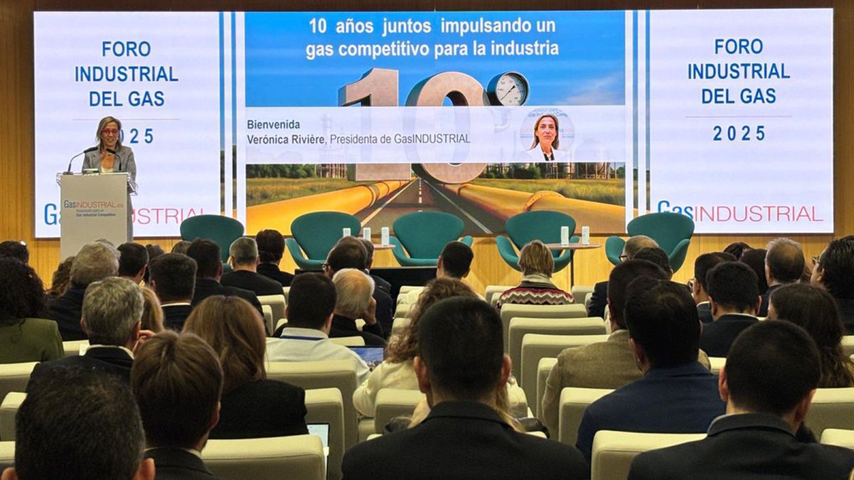 La industria gasintensiva pide peajes justos en el desarrollo del marco retributivo de gas