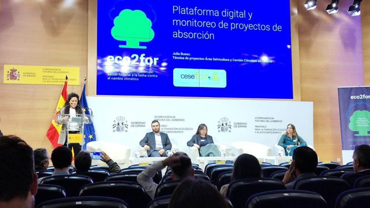 El proyecto 'eco2for' desarrolla calculadoras de biomasa para cuantificar el carbono almacenado en bosques