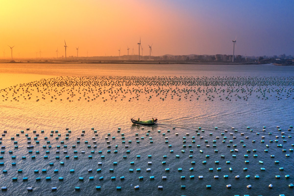 La financiación combinada e instrumentos innovadores pueden reducir a la mitad el coste del capital para la energía eólica marina