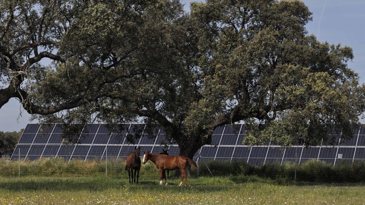 Statkraft obtiene la DIA para dos proyectos solares en Extremadura que suman 205 MW