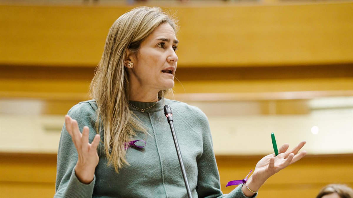 Aagesen reprocha al PP su "mirada al retrovisor" y defiende que la política energética del Gobierno funciona