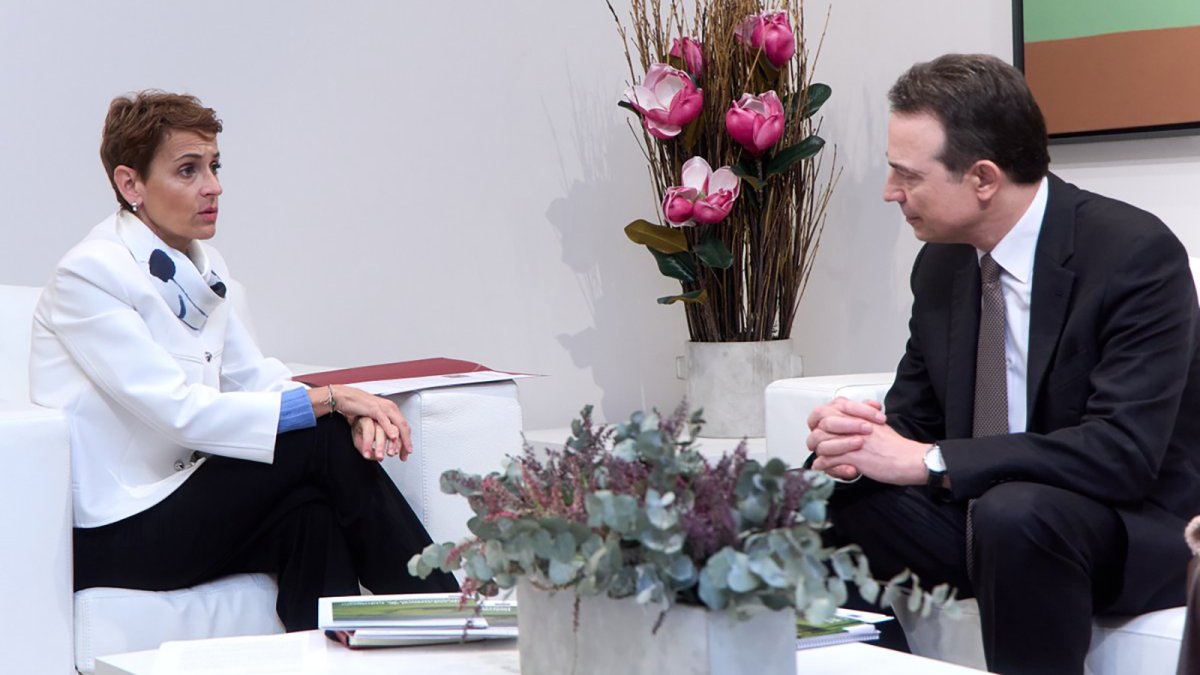 Enagás inicia la participación pública de la Red Troncal de Hidrógeno en Navarra.