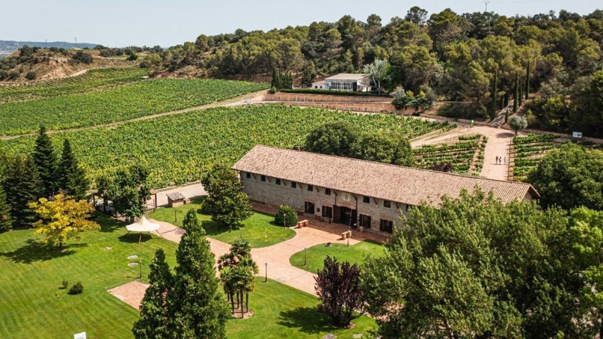 González Byass impulsa su descarbonización con tres nuevas fuentes de energía renovable.