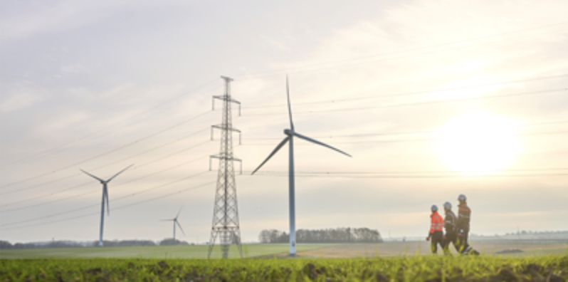 Elia, el mejor valor europeo de redes de transporte este año