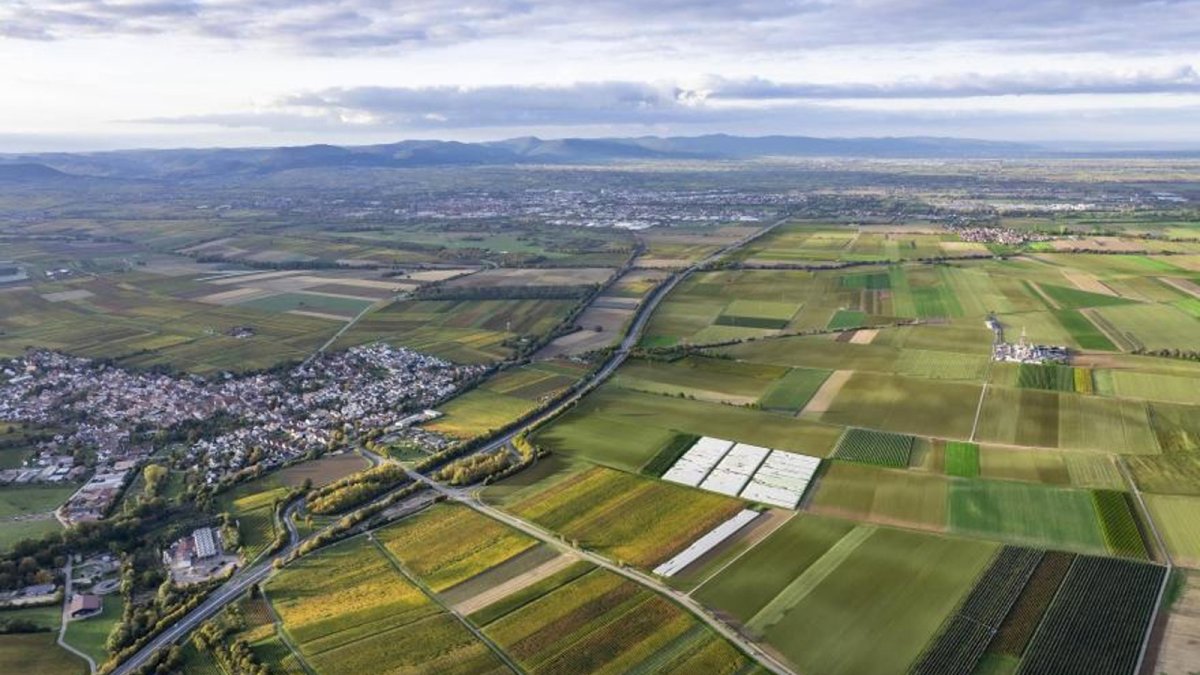 ACS entra en el mayor proyecto de litio de Europa con un contrato de 734 millones de euros en Alemania