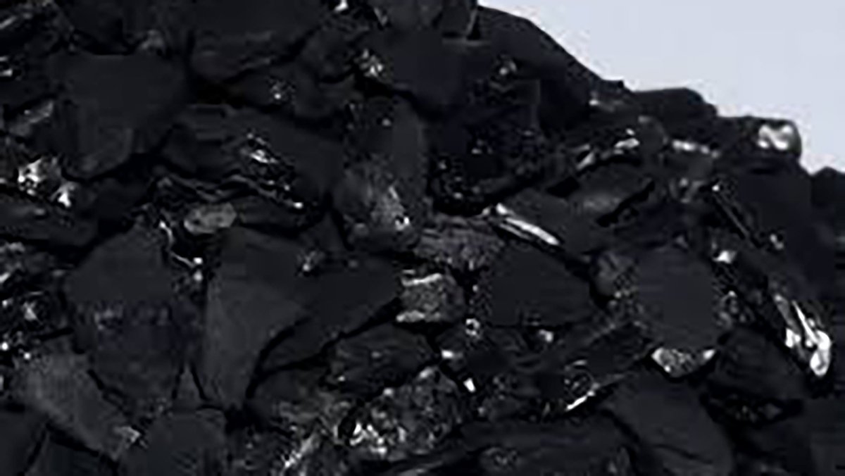 La china Yuanli comprará el 49% de la procesadora mexicana de carbón activado Clarimex