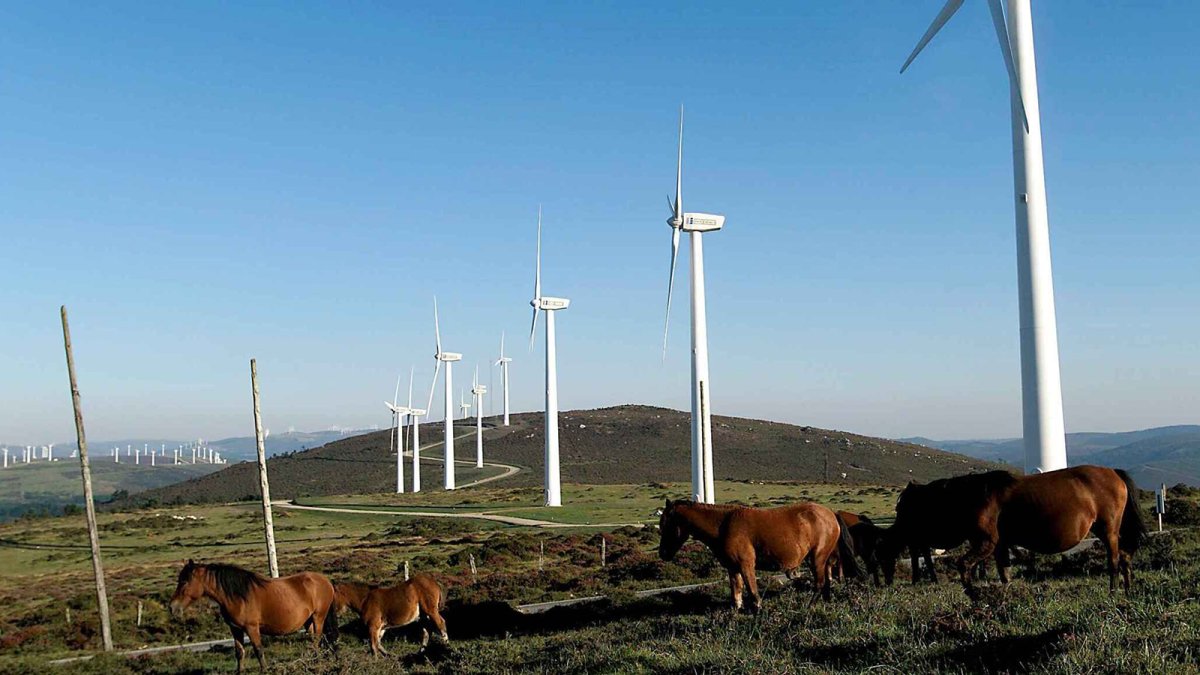 Endesa, la compañía que más ha contribuido a la reducción de emisiones de efecto invernadero de España en los últimos 10 años.