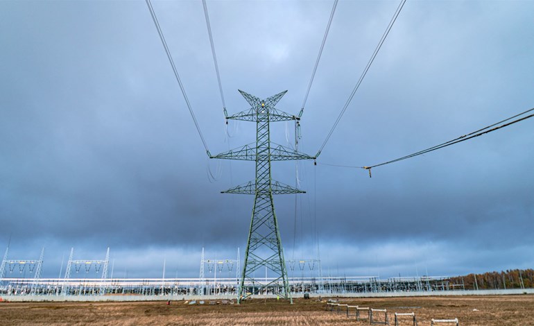 Polonia pone la red a punto para la energía eólica marina