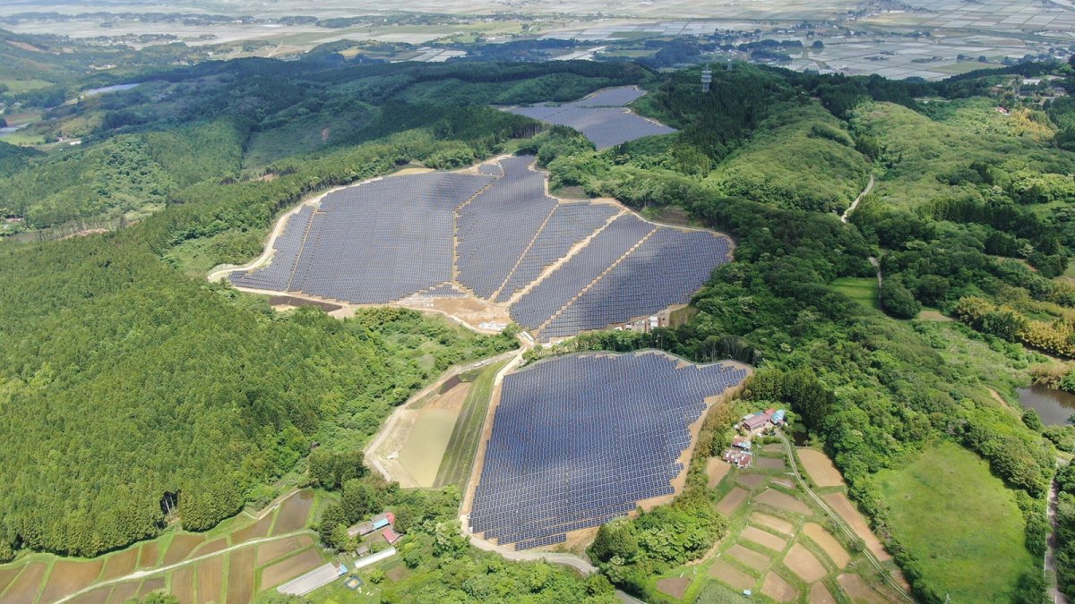 Cofides respalda a Grupo Negratín en construcción de una planta fotovoltaica de 13,67 MW en Colombia