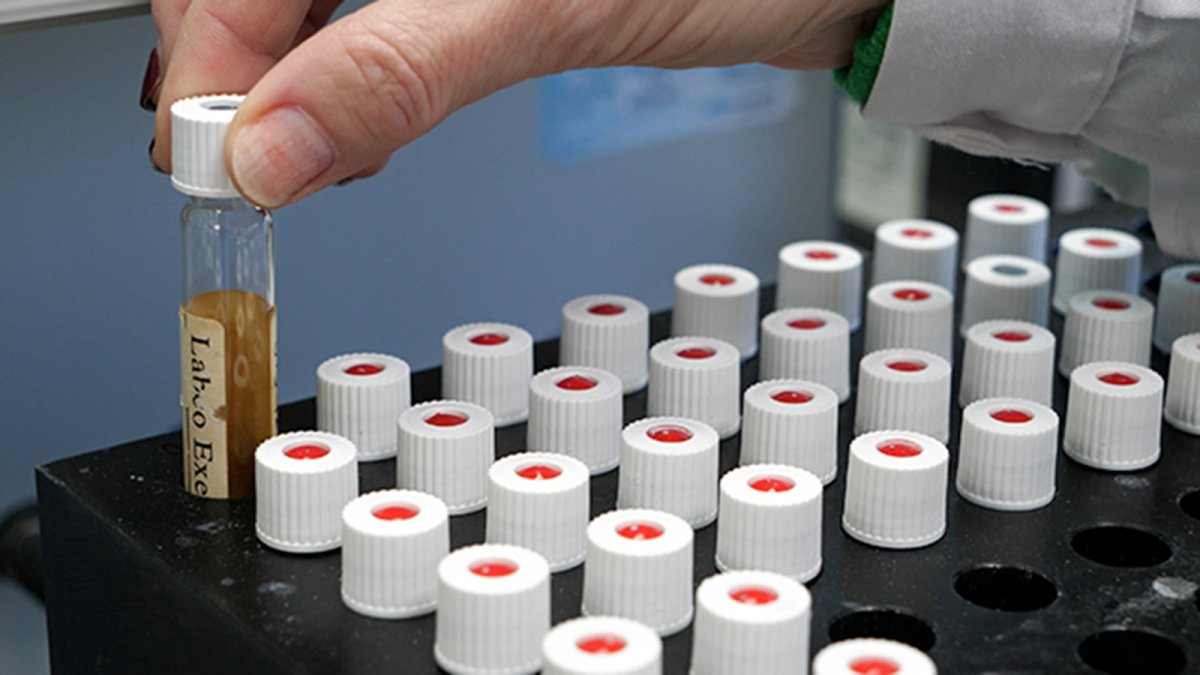 Optimizan el uso de aguas residuales para producir hidrógeno verde mediante la IA