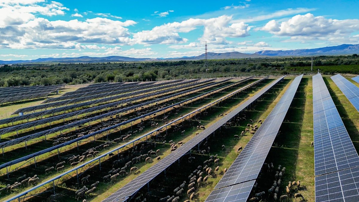Prosolia incorpora 229 MW operativos en España y cerrará el año con más de 1GW de renovables