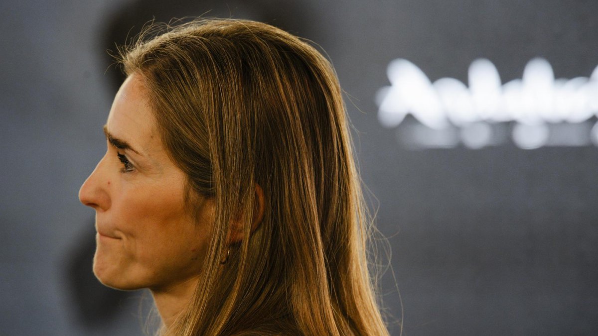 Aagesen califica de "extravangancia total" la propuesta de Musk de llenar la España vaciada de placas solares