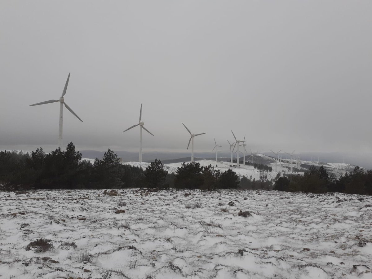 ¿Por qué los aerogeneradores se paran con fuertes vientos?