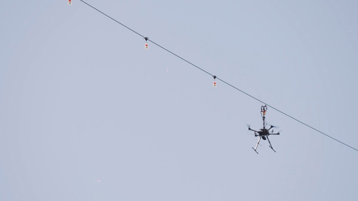 Red Eléctrica instala dispositivos salvapájaros utilizando drones en líneas eléctricas del Pirineo de Huesca