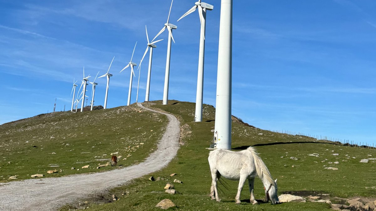 El parque eólico de Labraza será el primero en País Vasco con participación ciudadana y pionero en tecnología medioambiental
