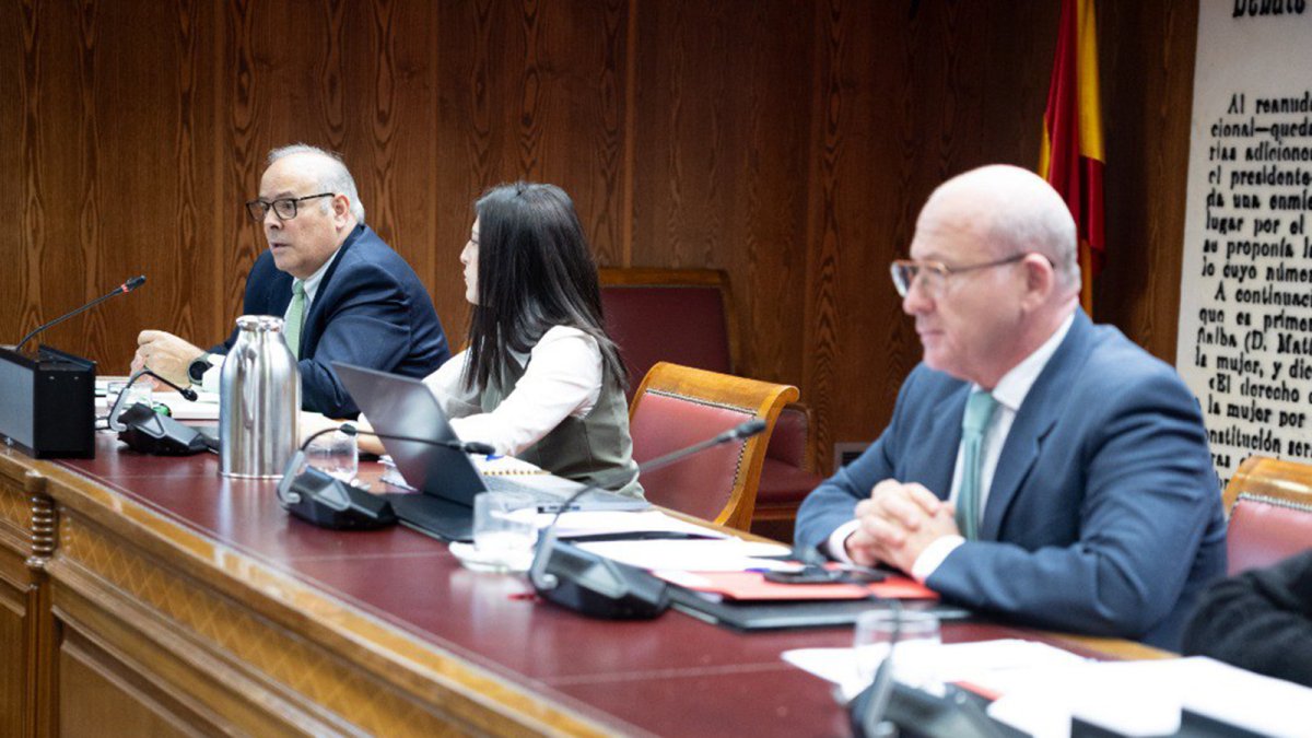 Ruiz-Tagle asegura que la relación entre los directivos de Iberdrola y Red Eléctrica es cercana a cero tras apagón