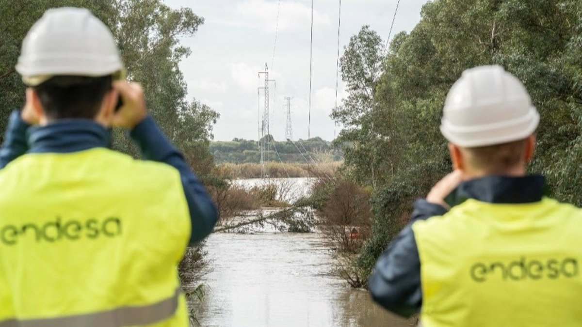 Endesa eleva a 35,5 millones su inversión en reforzar y mantener su red de distribución este invierno
