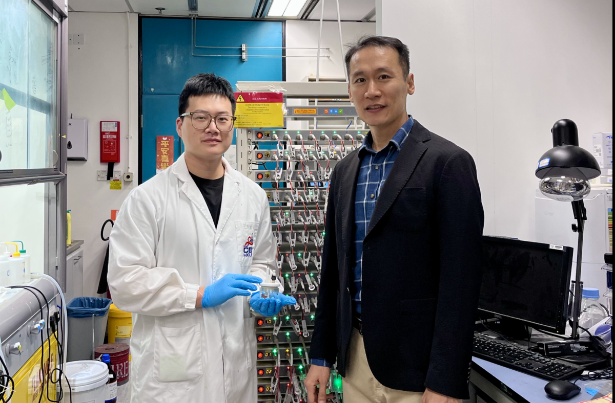 Investigadores coreanos desarrollan una batería de calcio que da un alto rendimiento sin contar con el litio