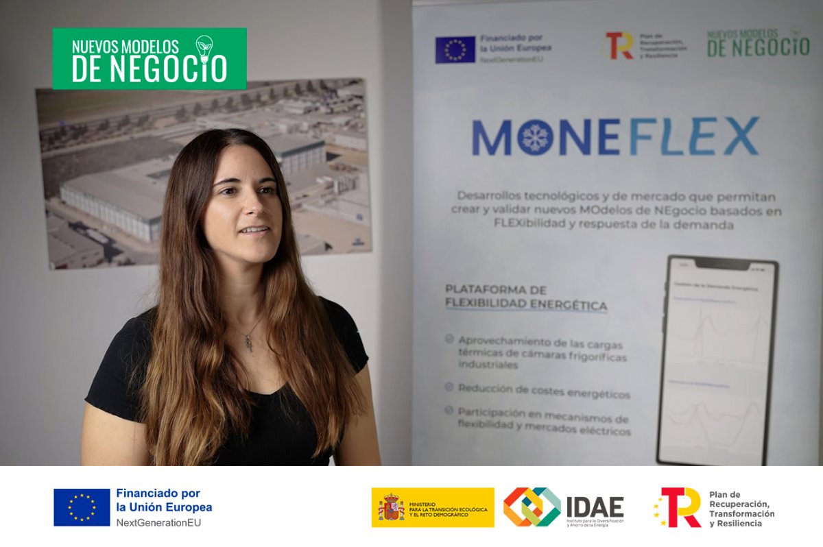 Desarrollan una nueva tecnología que reduce los costes energéticos en industrias mediante la flexibilidad