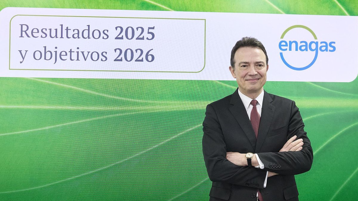 Enagás, en números