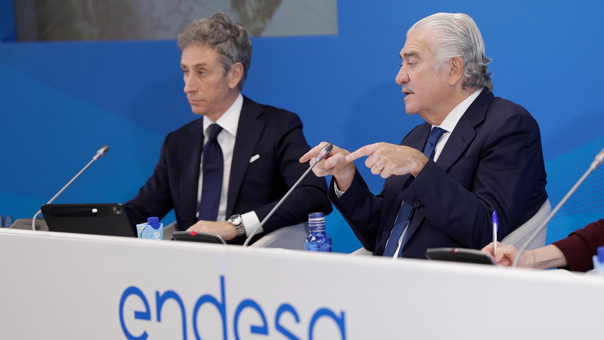 Endesa recurrirá las circulares de retribución de las redes aprobadas por la CNMC