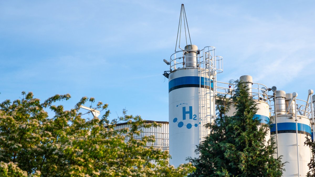 El Gobierno aporta 490 millones para las subastas europeas del hidrógeno verde y la descarbonización industrial