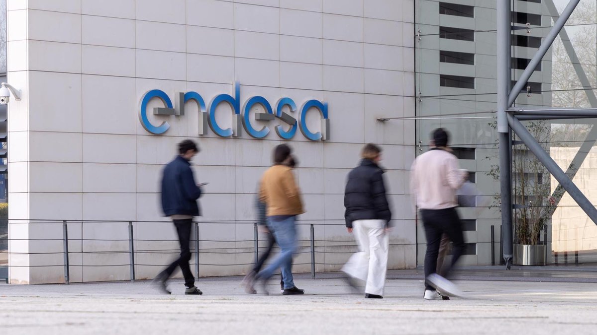 Endesa reclama al Gobierno mejoras en acceso a redes para responder al alza de la demanda