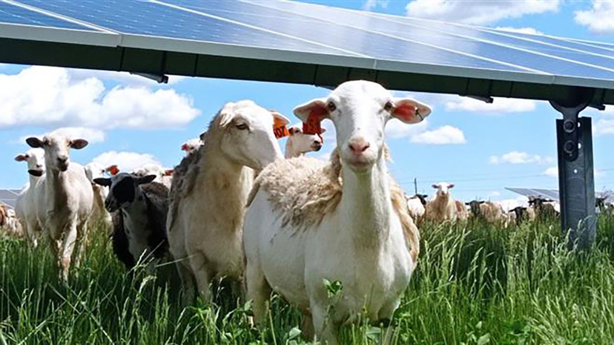 PVH alcanza 1 GW acumulado en Italia y refuerza su apuesta por un mercado en plena reactivación fotovoltaica