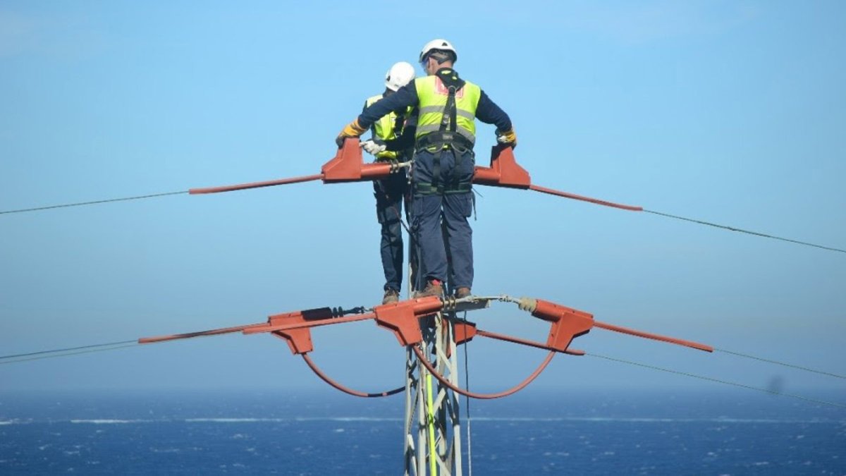 Endesa adapta en dos años 11.000 apoyos de la red eléctrica para proteger la avifauna