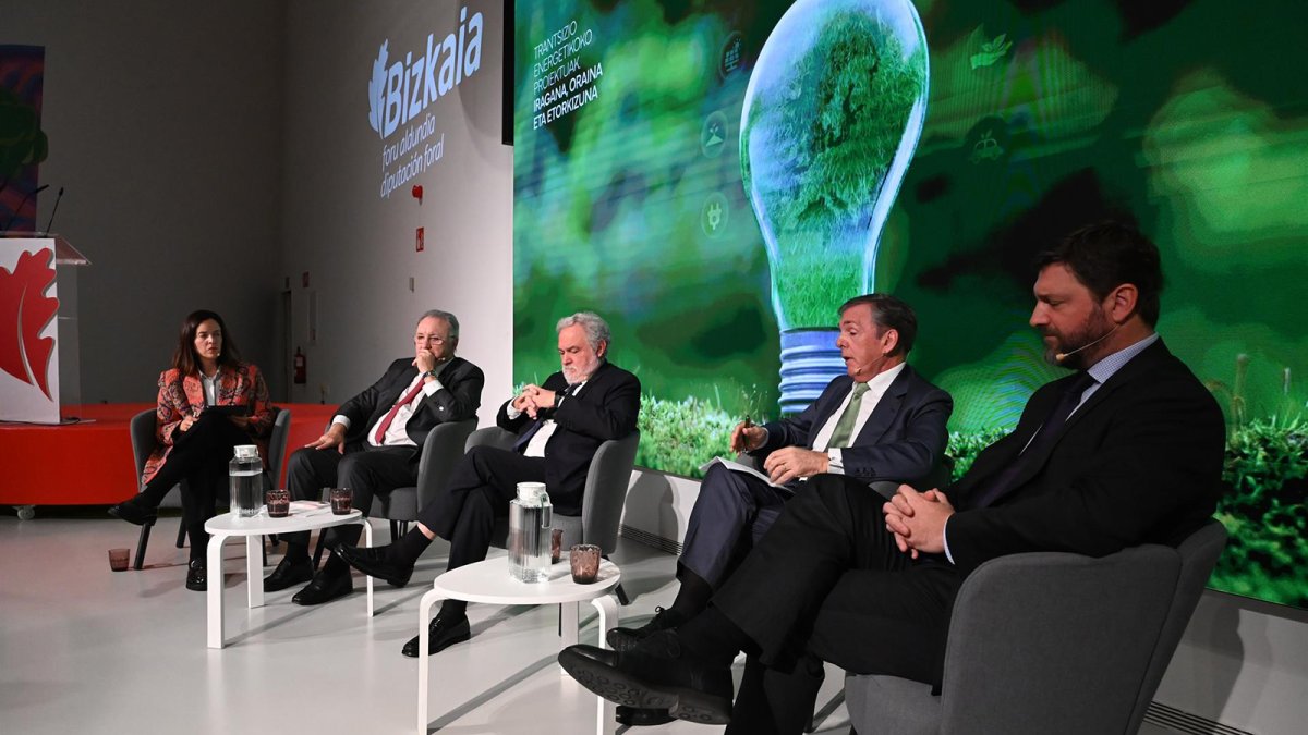 Sidenor e Iberdrola urgen a bajar impuestos a la electricidad ante el encarecimiento de la energía