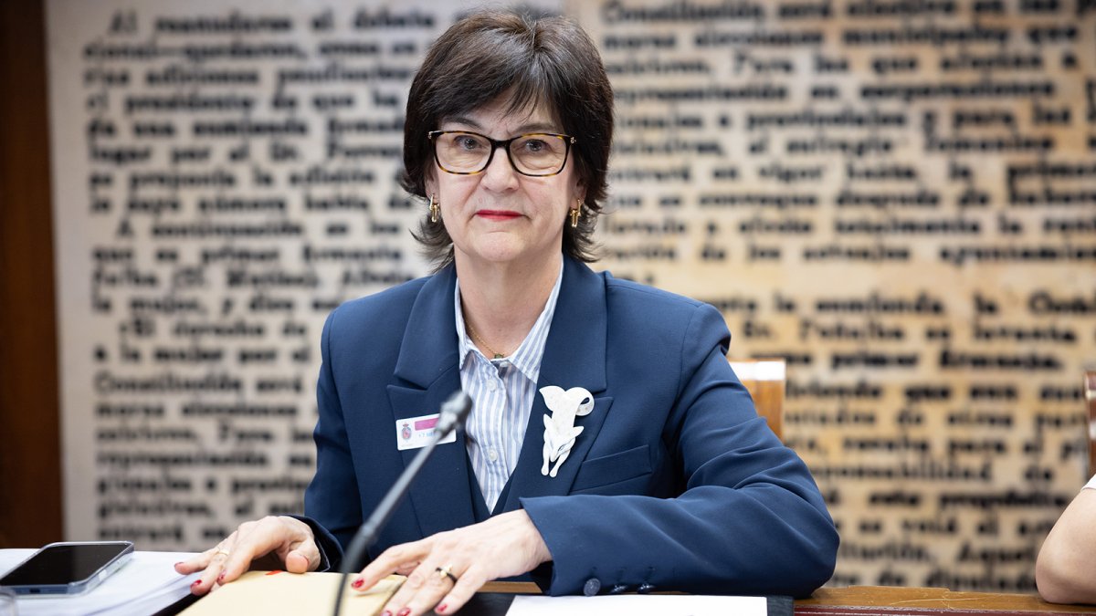 Cani Fernández (CNMC) defiende los expedientes como vía para determinar responsabilidades en el apagón