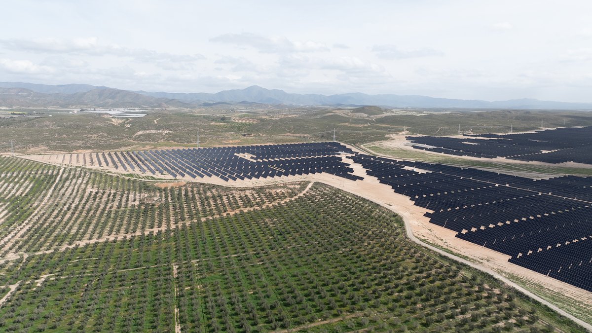 BNZ impulsa su modelo de gestión integral con el despliegue de 260 MW de almacenamiento en baterías en España