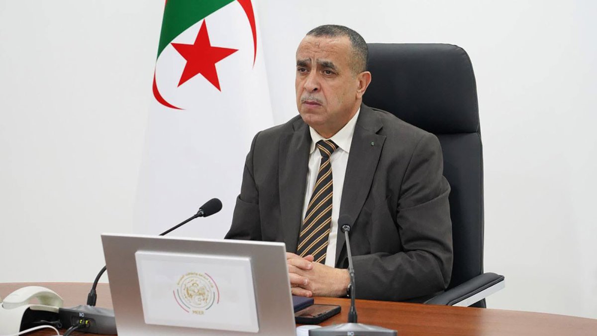 La estatal argelina de electricidad y gas Sonelgaz crea una filial para el mercado internacional