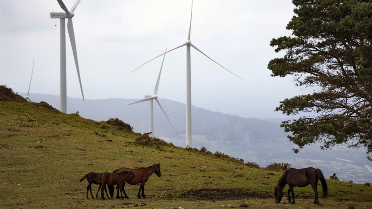 Gestamp e Iberdrola firman un acuerdo para el suministro de energía limpia en Europa durante 10 años