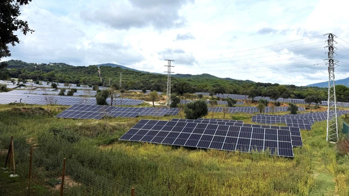 Estabanell firma un préstamo de 22 millones con Triodos Bank y el ICF para impulsar 62,8 MW de nueva generación fotovoltaica en Cataluña