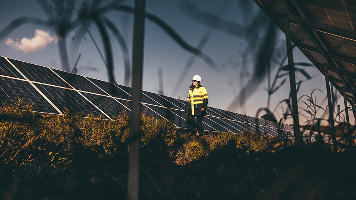 Galp compra una cartera de activos eólicos de 351 MW en España por cerca de 320 millones