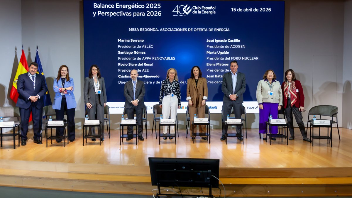 SOS de la industria para salvar la cogeneración