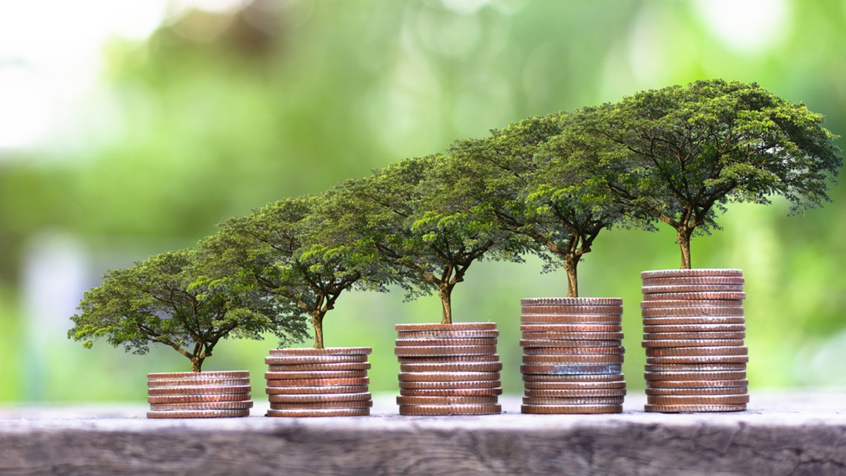 Redeia emite su primer bono híbrido verde europeo por 500 millones para impulsar la transición energética en España