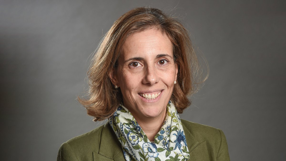 Reden y Circle Energy desarrollarán hasta 200 MW de almacenamiento en baterías en España