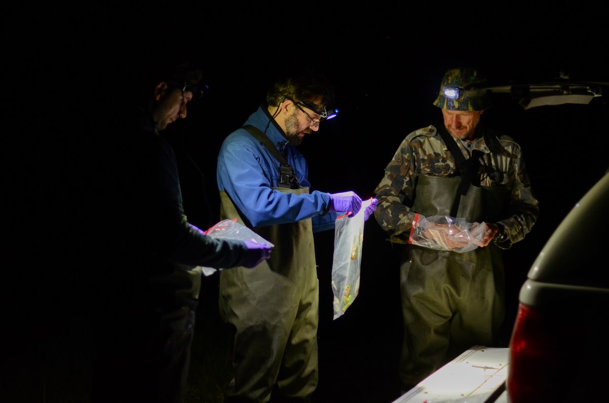 Orizaola (CSIC): "Lo mejor que se ha hecho en Chernobyl es no hacer nada e irse”