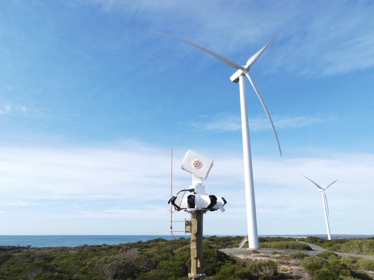La tecnología que mejor protege a las aves de los aerogeneradores: así es cómo mejor evita la muerte la avifauna en los parques eólicos
