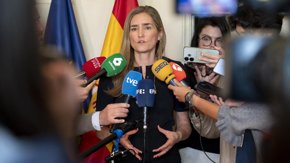 El Gobierno desoye a Bruselas y mantendrá la tarifa regulada de la luz