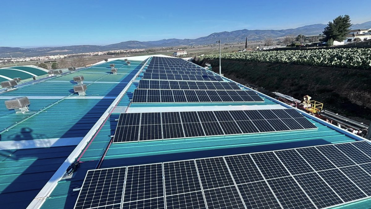 Cuerva impulsa el autoconsumo industrial de Asigran con la instalación de nueva planta solar