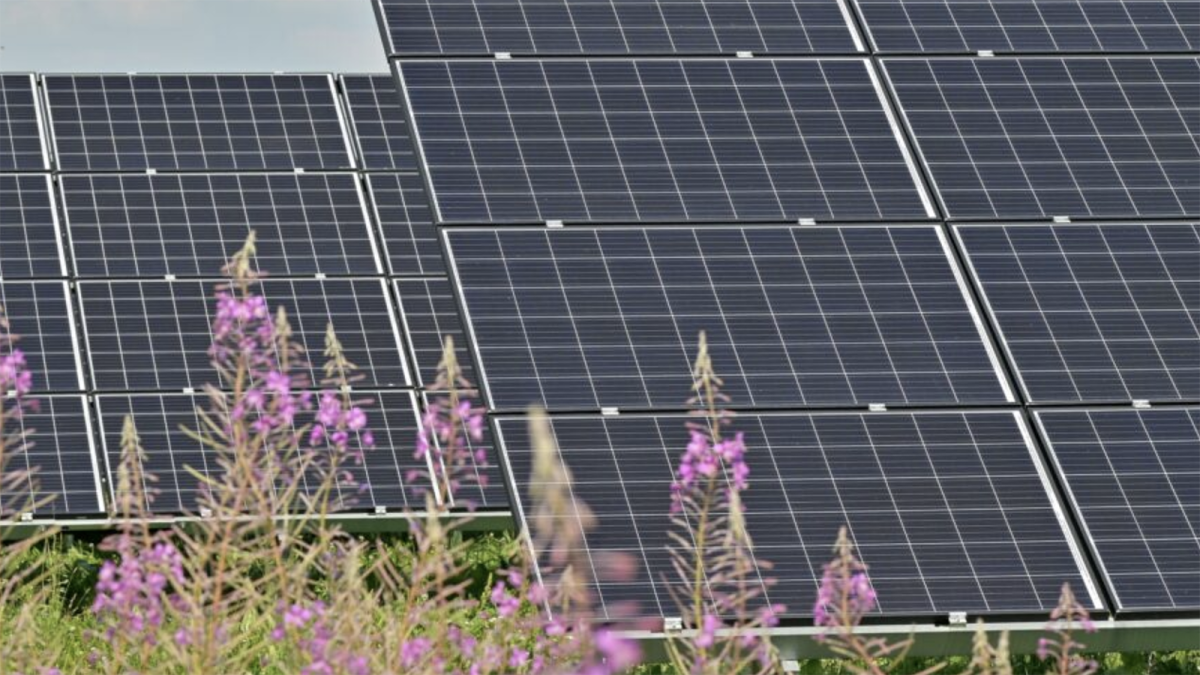 Verdian adquiere una cartera de 117 MW de proyectos solares agrivoltaicos en Italia