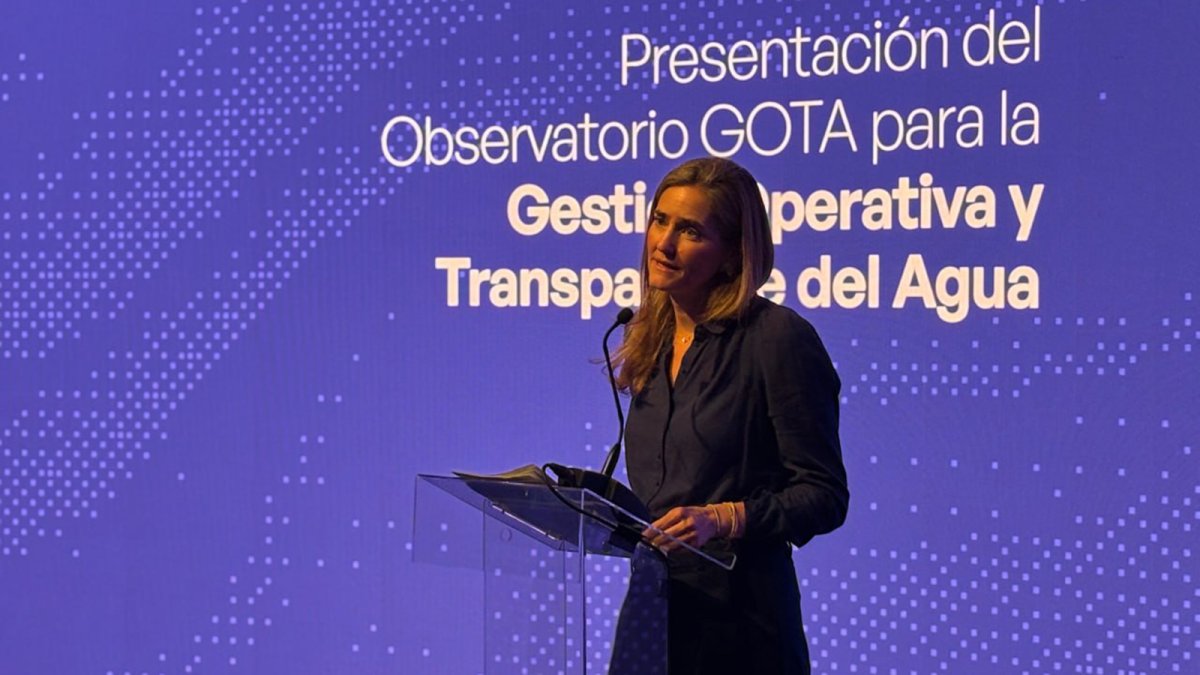 El Gobierno espera aprobar el real decreto de impulso de combustibles renovables en verano