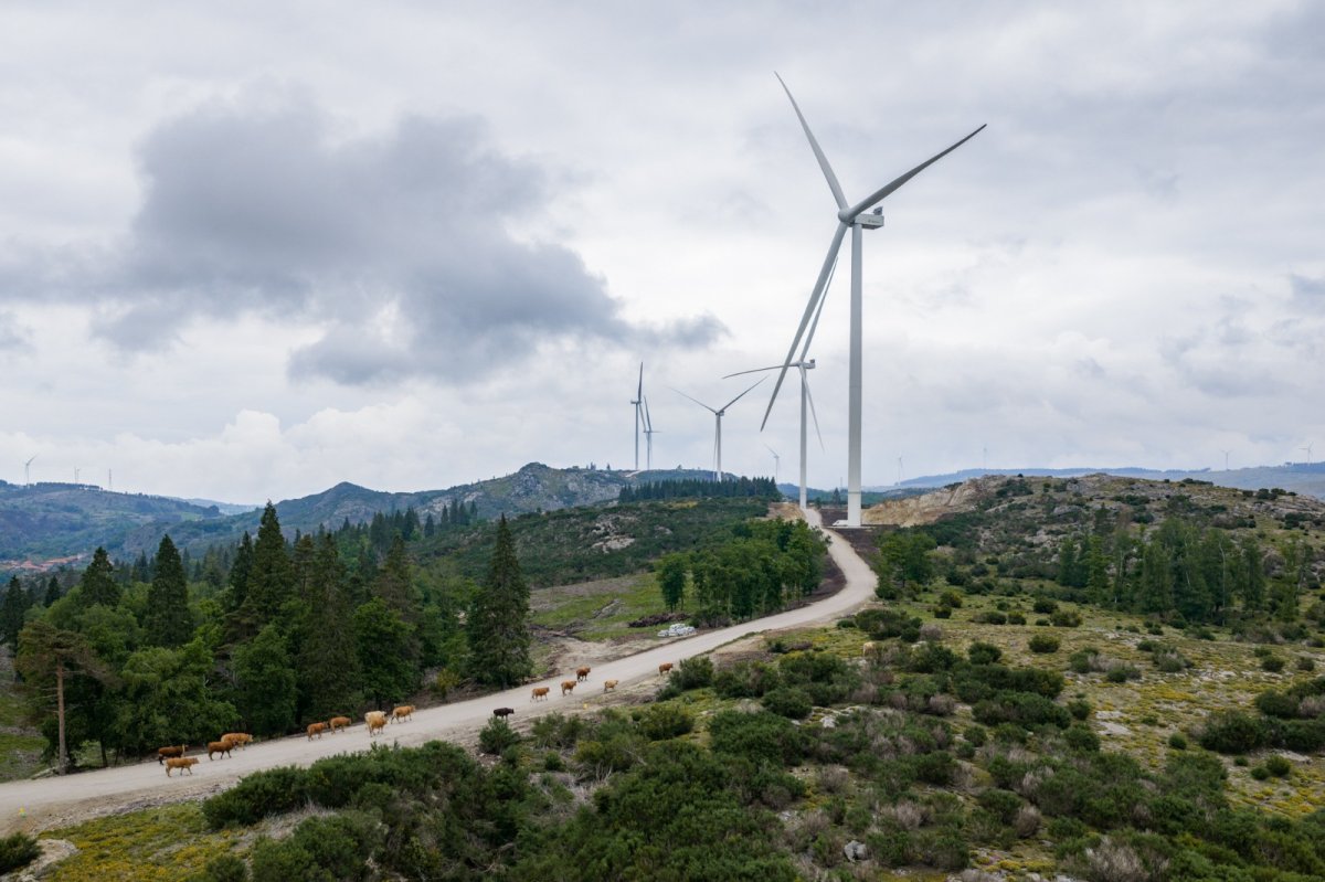 Iberdrola pone en marcha el mayor proyecto eólico-hidroeléctrico de la Península Ibérica en el Complejo del Támega
