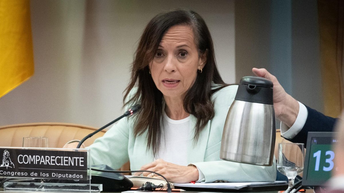 Redeia pide agilizar las interconexiones eléctricas para aprovechar la energía renovable española