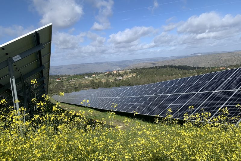 Optimize Energy y NextEnergy Capital impulsan la gestión activa de 130 MW solares en España