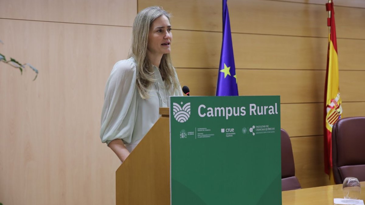 El Gobierno prevé aprobar, tras el visto bueno de Bruselas, el mercado de capacidad en las próximas semanas