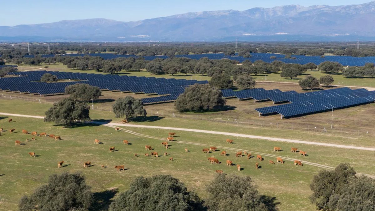 Dan luz verde a una planta fotovoltaica de Statkraft de 137 MW en Cáceres